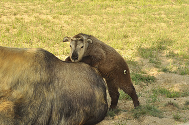 Similar image 21489534