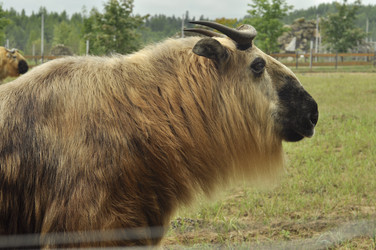 Similar image 21489535