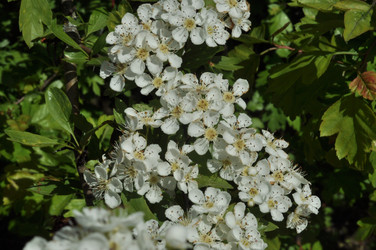 Similar image 21489673