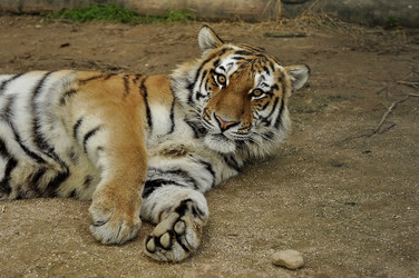 Similar image 21489674