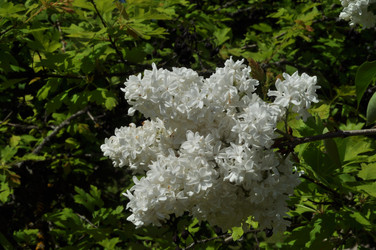 Similar image 21489675