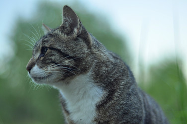 Similar image 21489676