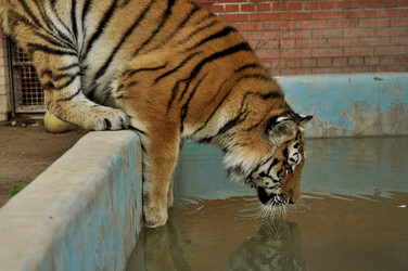 Similar image 21489677