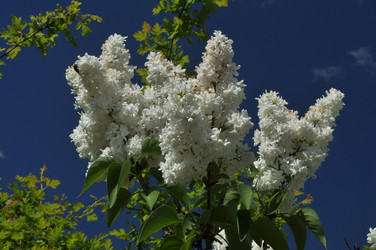 Similar image 21489679