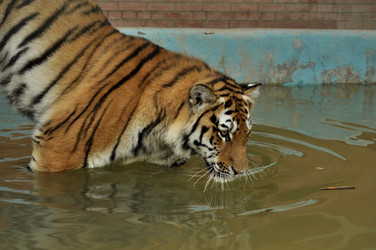 Similar image 21489680