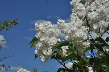 Similar image 21489681