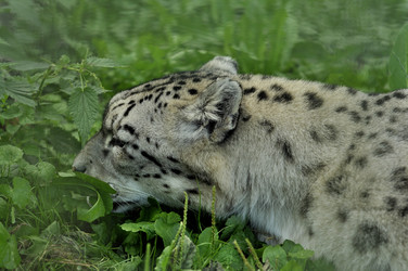 Similar image 21489682