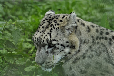 Similar image 21489683