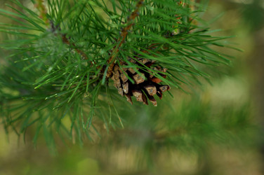 Similar image 21489686