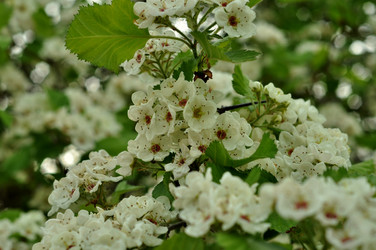 Similar image 21490293