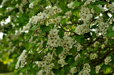 Similar image 21491553