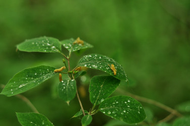 Similar image 21491554