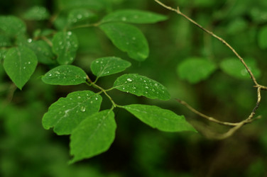 Similar image 21491556