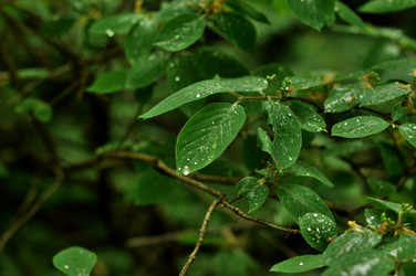 Similar image 21491722