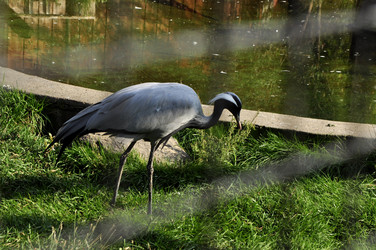 Similar image 21491729