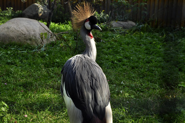 Similar image 21491735