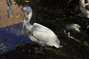 Similar image 21495257