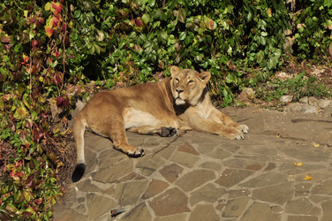 Similar image 21499657