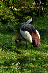 Similar image 21499658