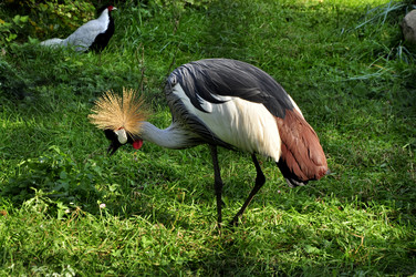 Similar image 21502442