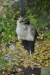 Similar image 21502444