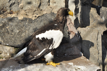 Similar image 21502877