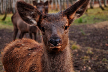 Similar image 21502879