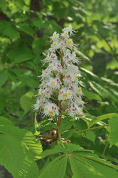 Similar image 21502880