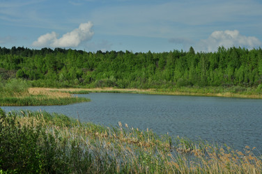 Similar image 21502881