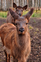 Similar image 21503997