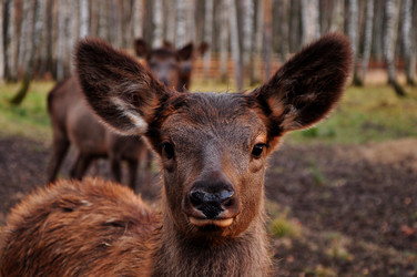 Similar image 21504000