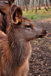 Similar image 21504196