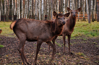 Similar image 21489687