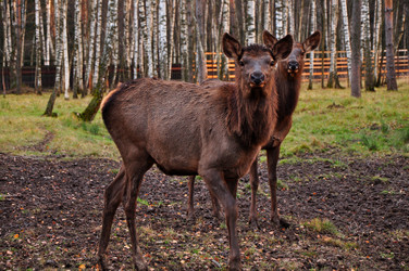 Similar image 21489689