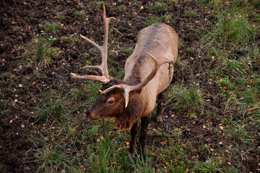 Similar image 21489691