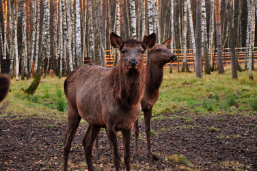 Similar image 21489693