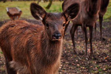 Similar image 21489695