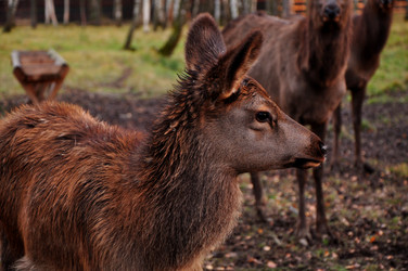 Similar image 21489697