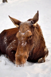 Similar image 21490294