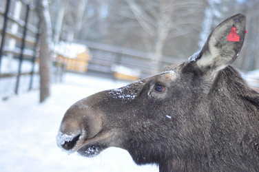 Similar image 21491558