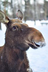 Similar image 21491560