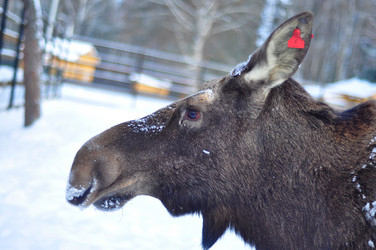 Similar image 21491737