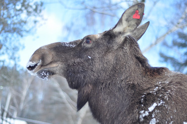 Similar image 21491742