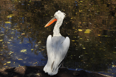 Similar image 21491747