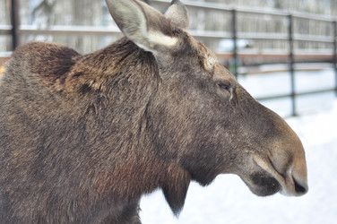 Similar image 21491748