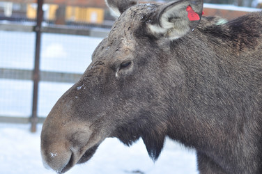 Similar image 21491750