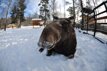 Similar image 21491752