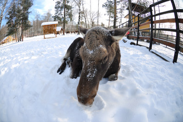 Similar image 21491754