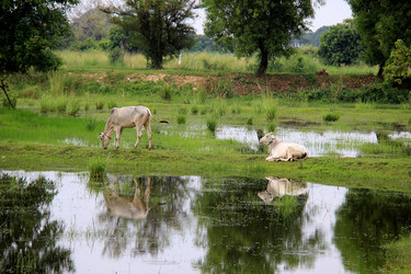 Similar image 21491755