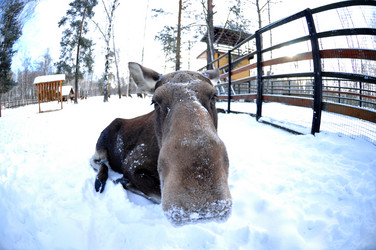 Similar image 21491757